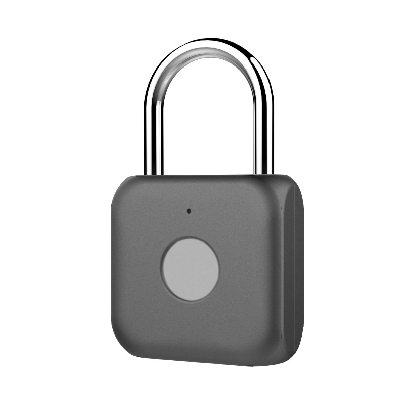 Fingerprint Padlock YDPL-0163