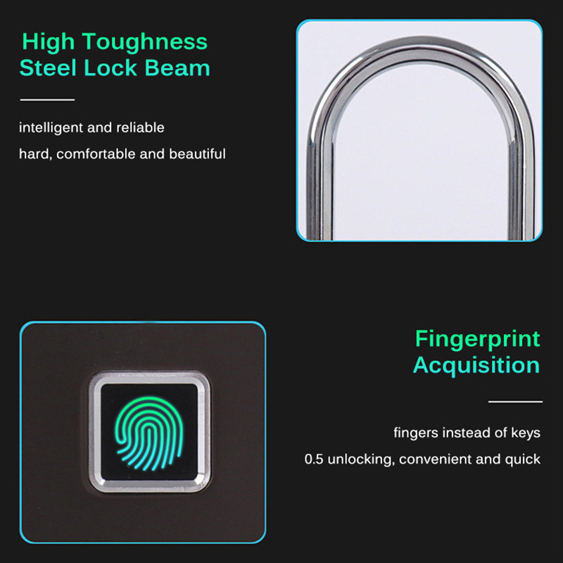 Fingerprint padlock YDPL-0143