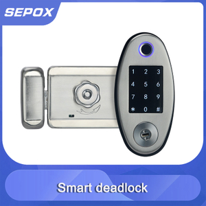 Smart Door Lock YDDL-0030