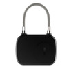 Fingerprint padlock YDPL-0126