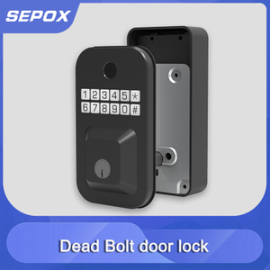 Smart Door Lock YDDL-0001