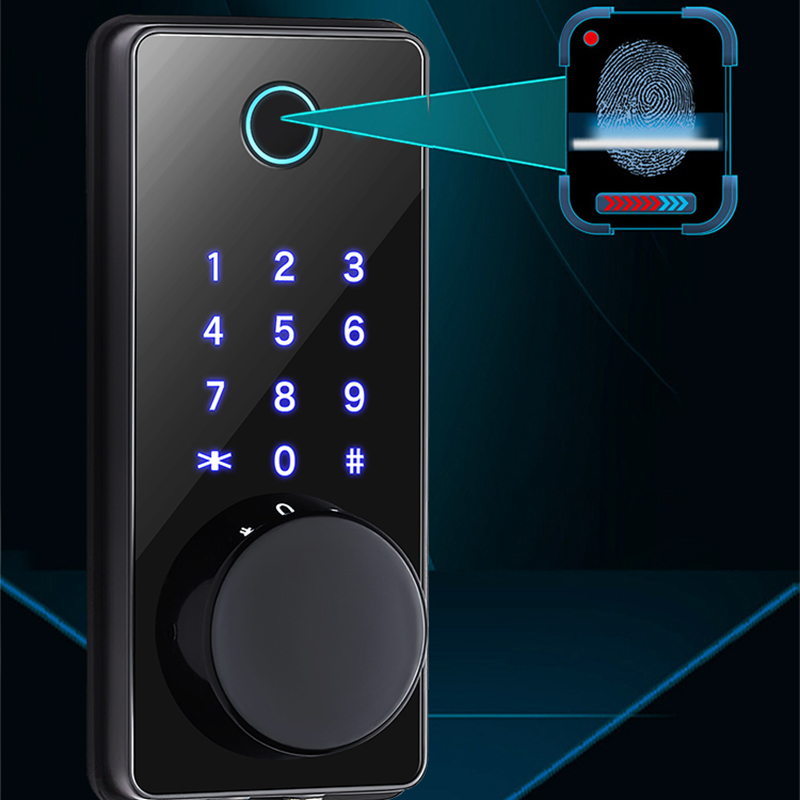 Smart Door Lock YDDL-0031