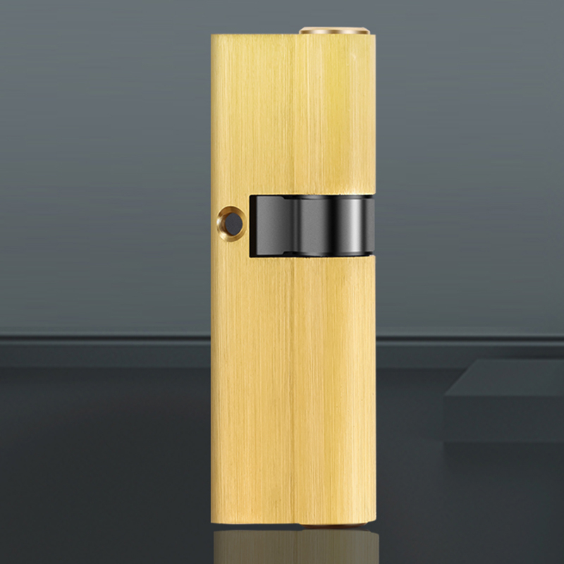 Smart Door Lock YDDL-0030