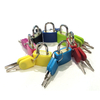 Plastic Coated Brass Lock NO.ZD115