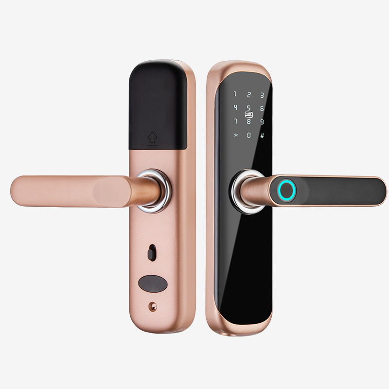 Smart Lock -YDDL-0123