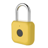 Fingerprint Padlock YDPL-0163