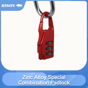 Zinc Alloy Special Combination Padlock-WA514-4