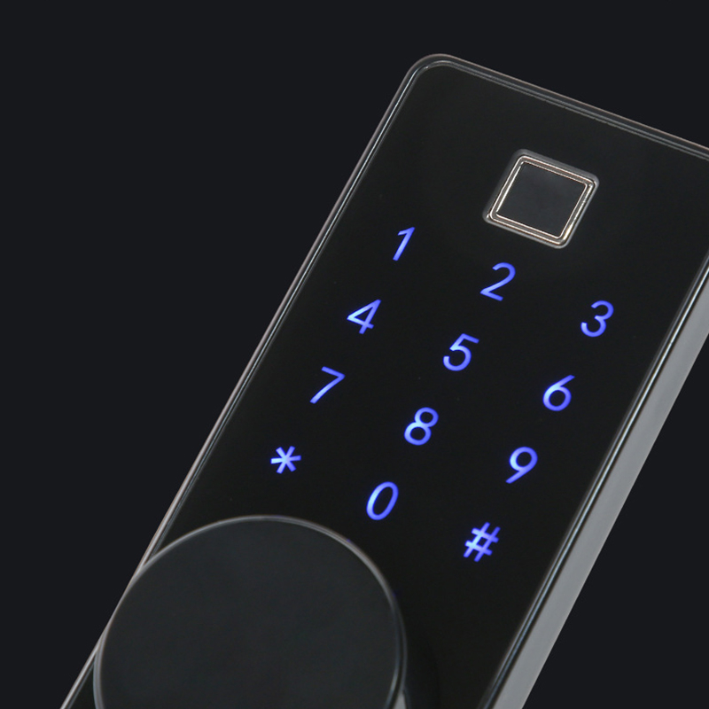 Smart Door Lock YDDL-0049