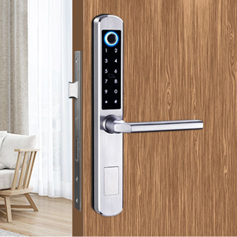 Smart Door Lock YDDL-0056