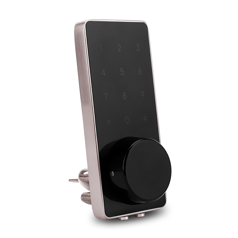 Smart Door Lock YDDL-0025 