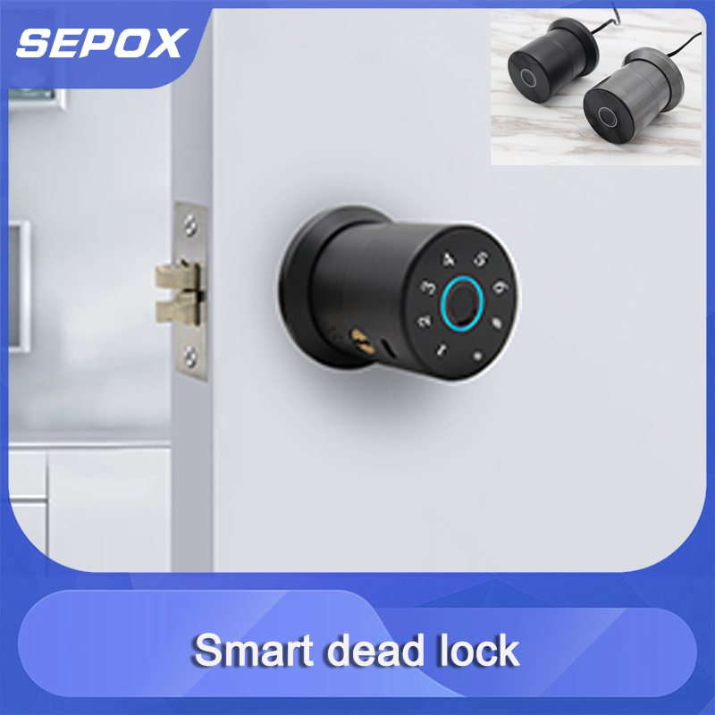 Smart Door Lock YDDL-0046