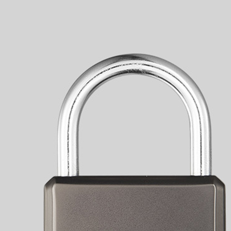 Fingerprint Padlock YDPL-0161