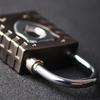 Fingerprint padlock YDPL-0146