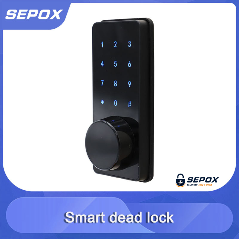 Smart Door Lock YDDL-0026