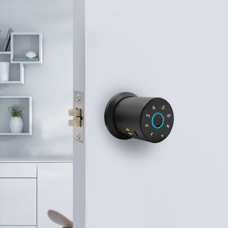 Smart Door Lock YDDL-0046