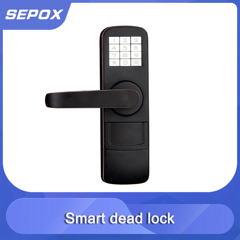 Smart Door Lock YDDL-0023