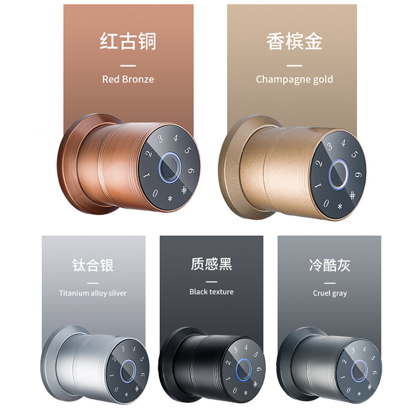 Smart Door Lock YDDL-0046