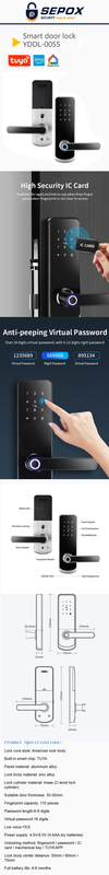 Smart Door Lock YDDL-0055