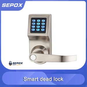 Smart Door Lock YDDL-0029
