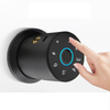 Smart Door Lock YDDL-0046