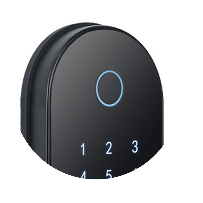 Smart Door Lock YDDL-0032