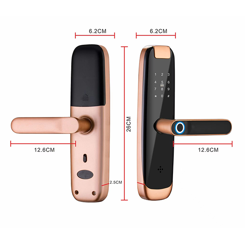 Smart Door Lock -YDDL-0124
