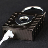 Fingerprint padlock YDPL-0146