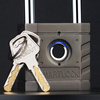 Fingerprint padlock YDPL-0147