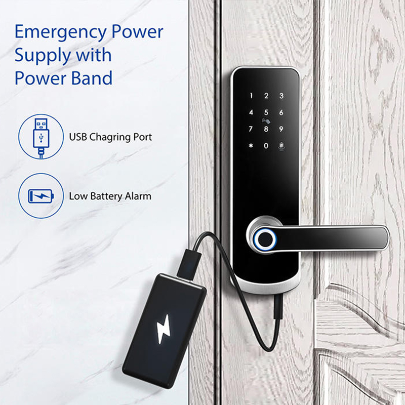 Smart Door Lock YDDL-0055