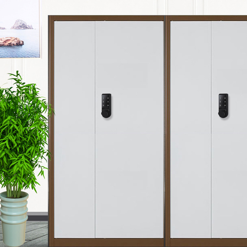 Smart Cabinet Lock YDDL-0020
