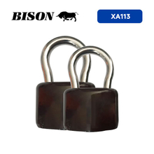 Anti Theft Iron Padlock XA113