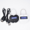 Time Electronic Lock-YDPL-0172
