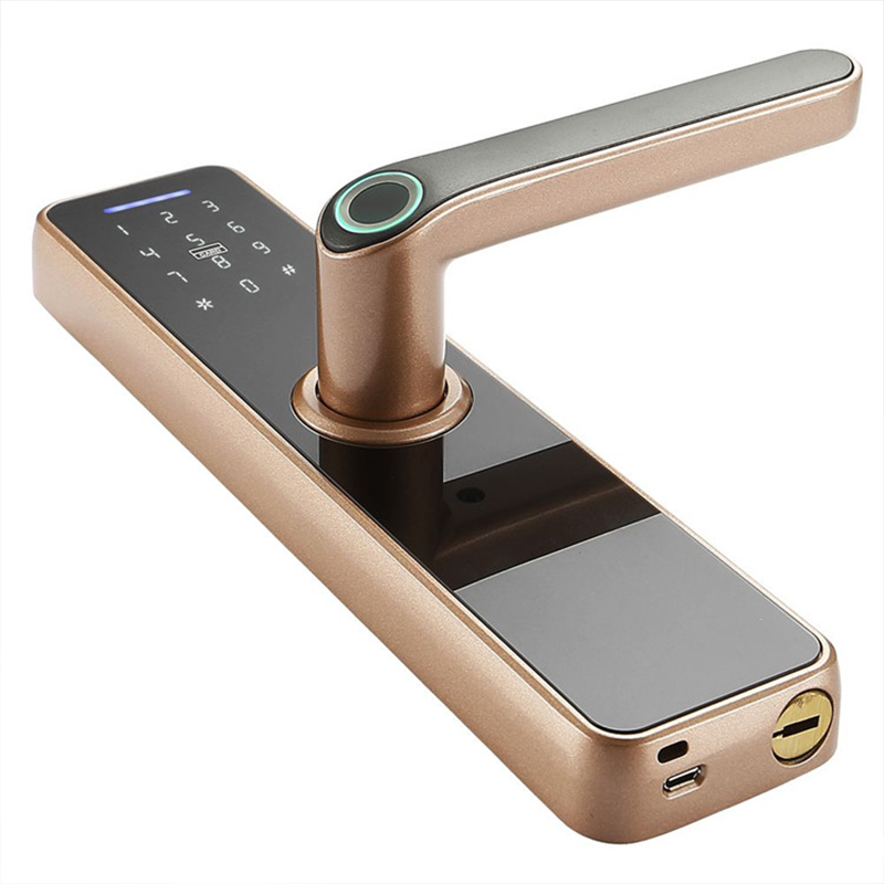 Smart Door Lock-yddl-0062