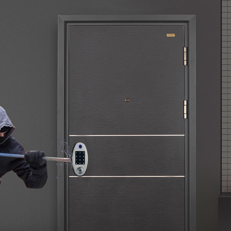 Smart Door Lock YDDL-0030