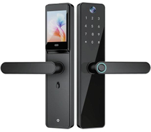 TOKING YDDL-1065-3 Face Recognition Door Lock