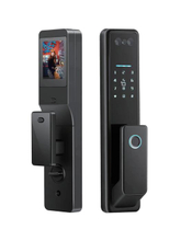 TOKING YDDL-1014 Face Recognition Door Lock