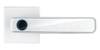 YDDL-3028-2 Smart Door Handle - Smart Door Lock by TOKING