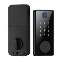 TOKING YDDL-0232-1 Smart Deadbolt Lock